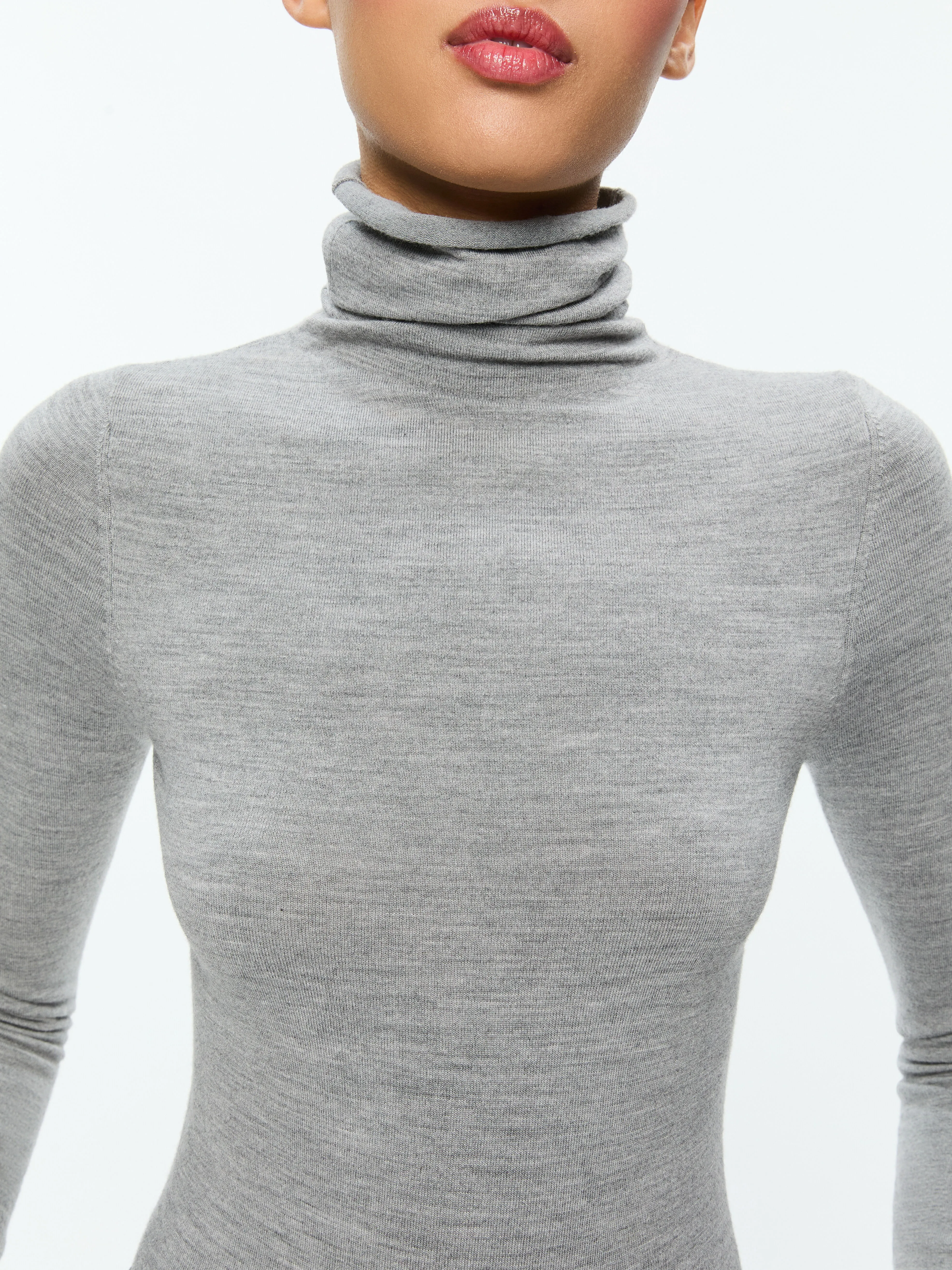 JOYCE LONG TURTLENECK