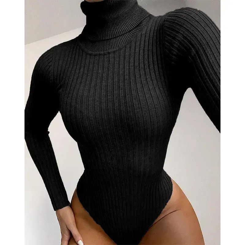 Ribbed Knit Bodysuit Turtleneck